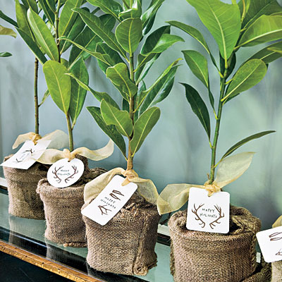 "Kho tàng" bí quyết trang trí Noel (Phần 5) - 9