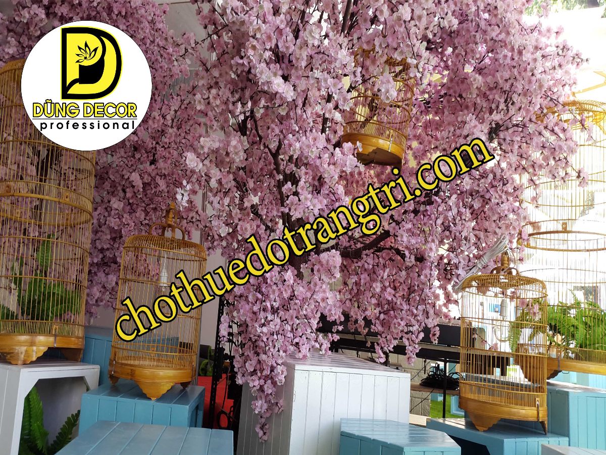 Ẩm thực đường phố tuần 2 - Hoa Anh Đào